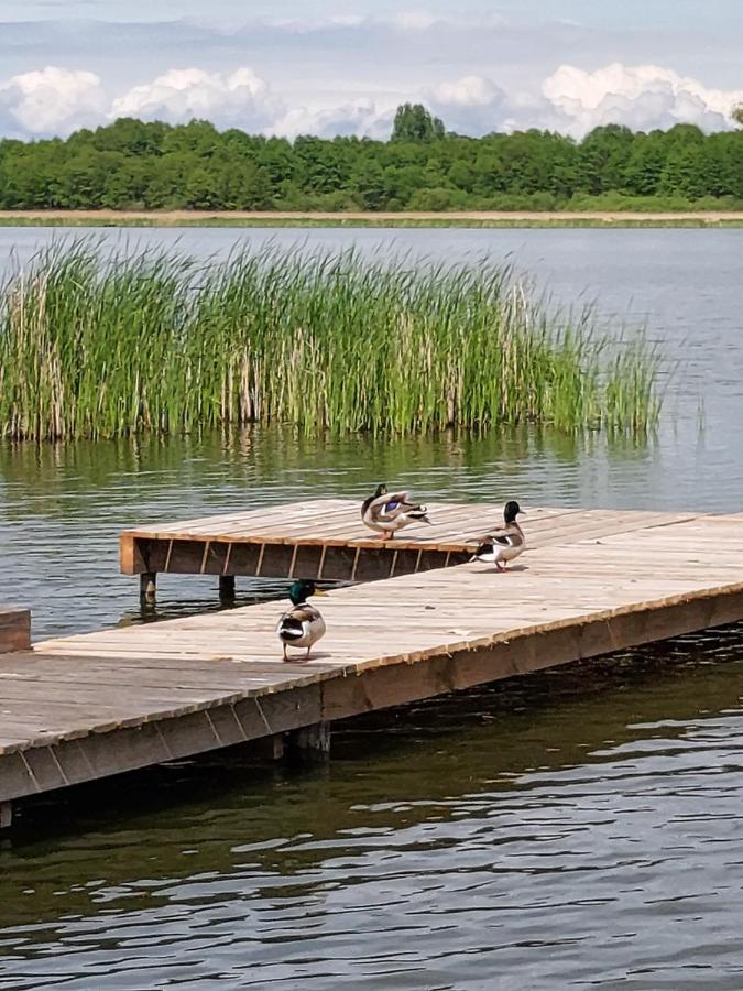 Domki Lawendowy Zakatek Boszkowo Bagian luar foto